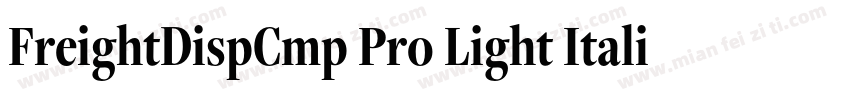 FreightDispCmp Pro Light Italic字体转换